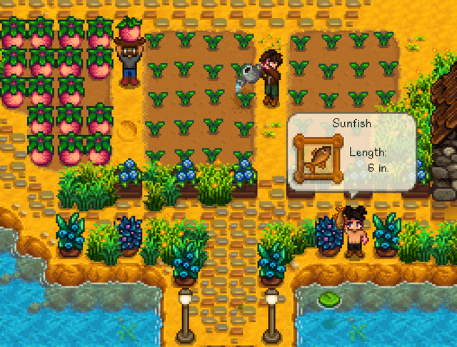 Tất cả những gì bạn cần biết khi chơi co-op Stardew Valley